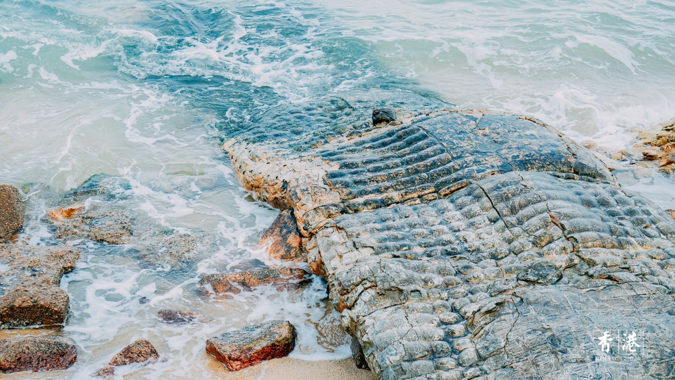 第一次去香港哪里打卡,第一次去香港玩必去的景点