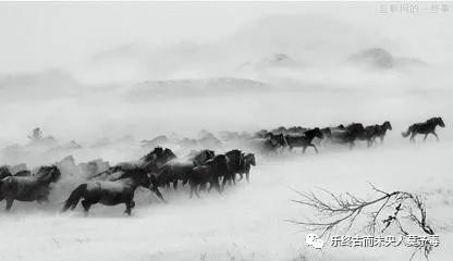 螳螂捕蝉文言文吴王欲伐荆翻译,螳螂捕蝉文言文五年级