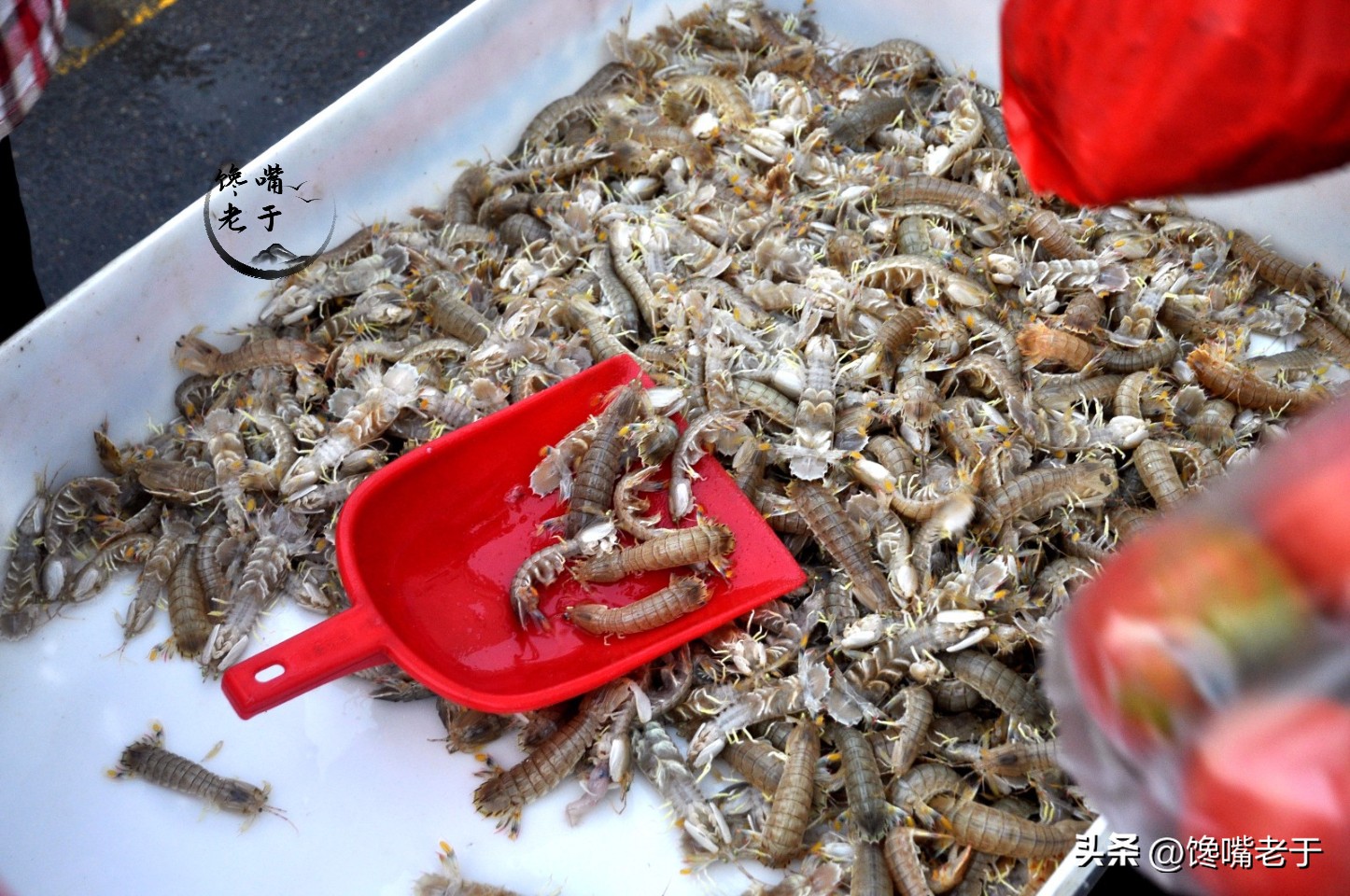 在市场上买皮皮虾怎么看才是新鲜,皮皮虾怎么吃老渔民悄悄告诉你