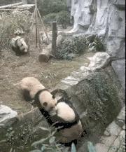 性取向测试,性取向测试怎么看结果