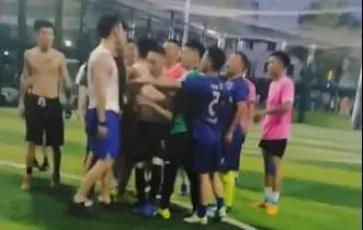 足球场内飞盘场外踢足球,足球场内飞盘与狗