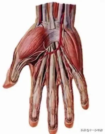 周围神经病和外周神经病,周围神经病