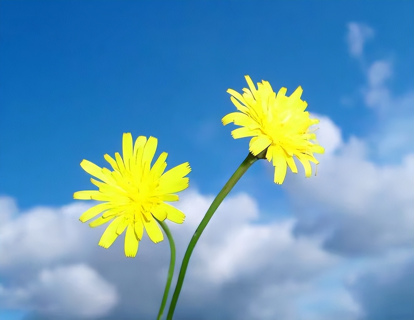 兄弟姐妹之间永远不要空着手来往,人到老了才明白兄弟姐妹之间交往
