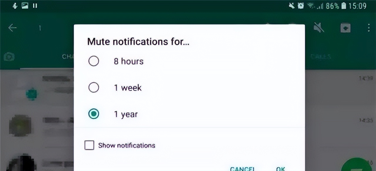 在美国做外贸一般用whatsapp软件,外贸怎么批量录入whatsapp