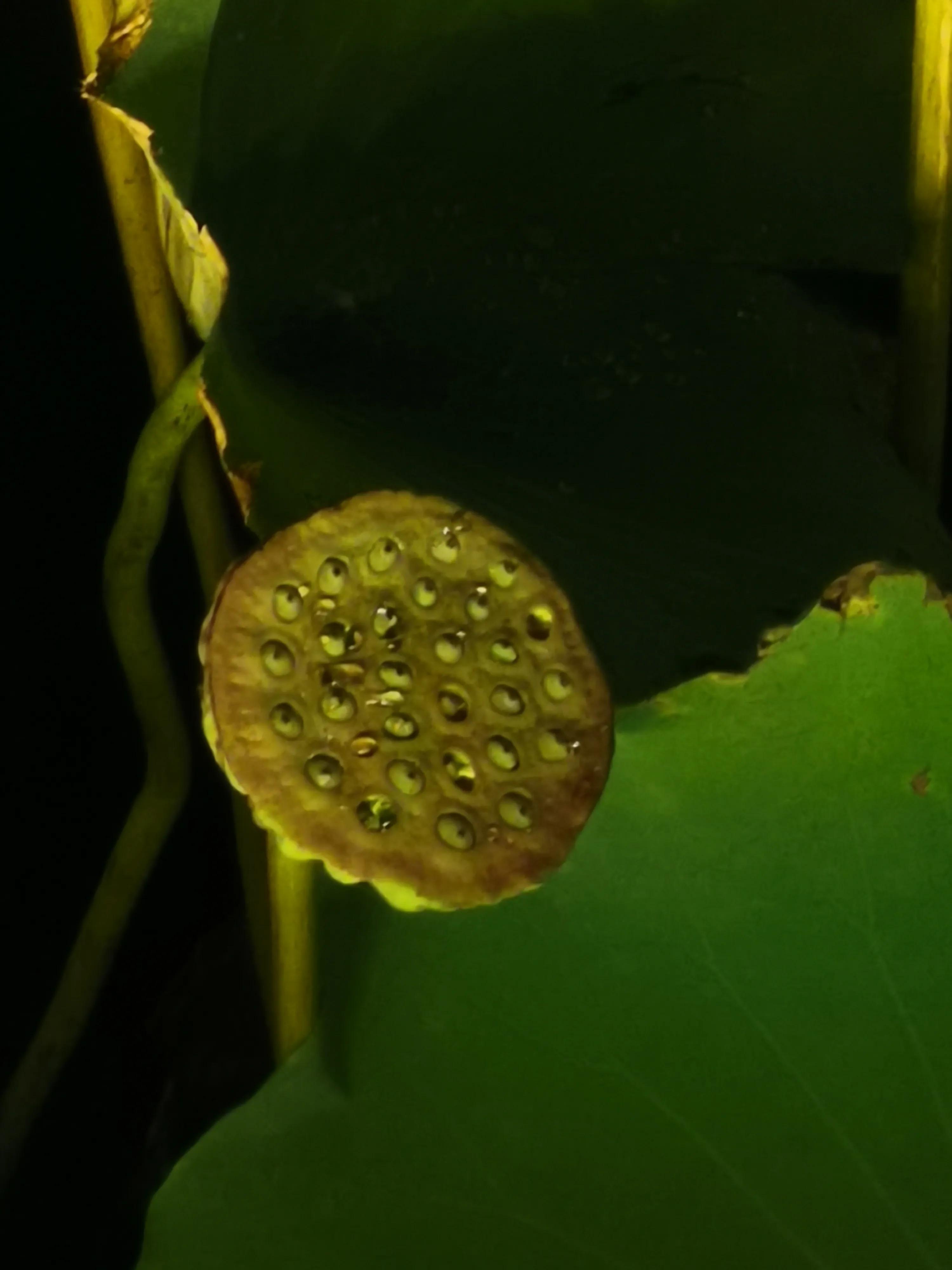 有禅意的楹联,隐居的五言楹联