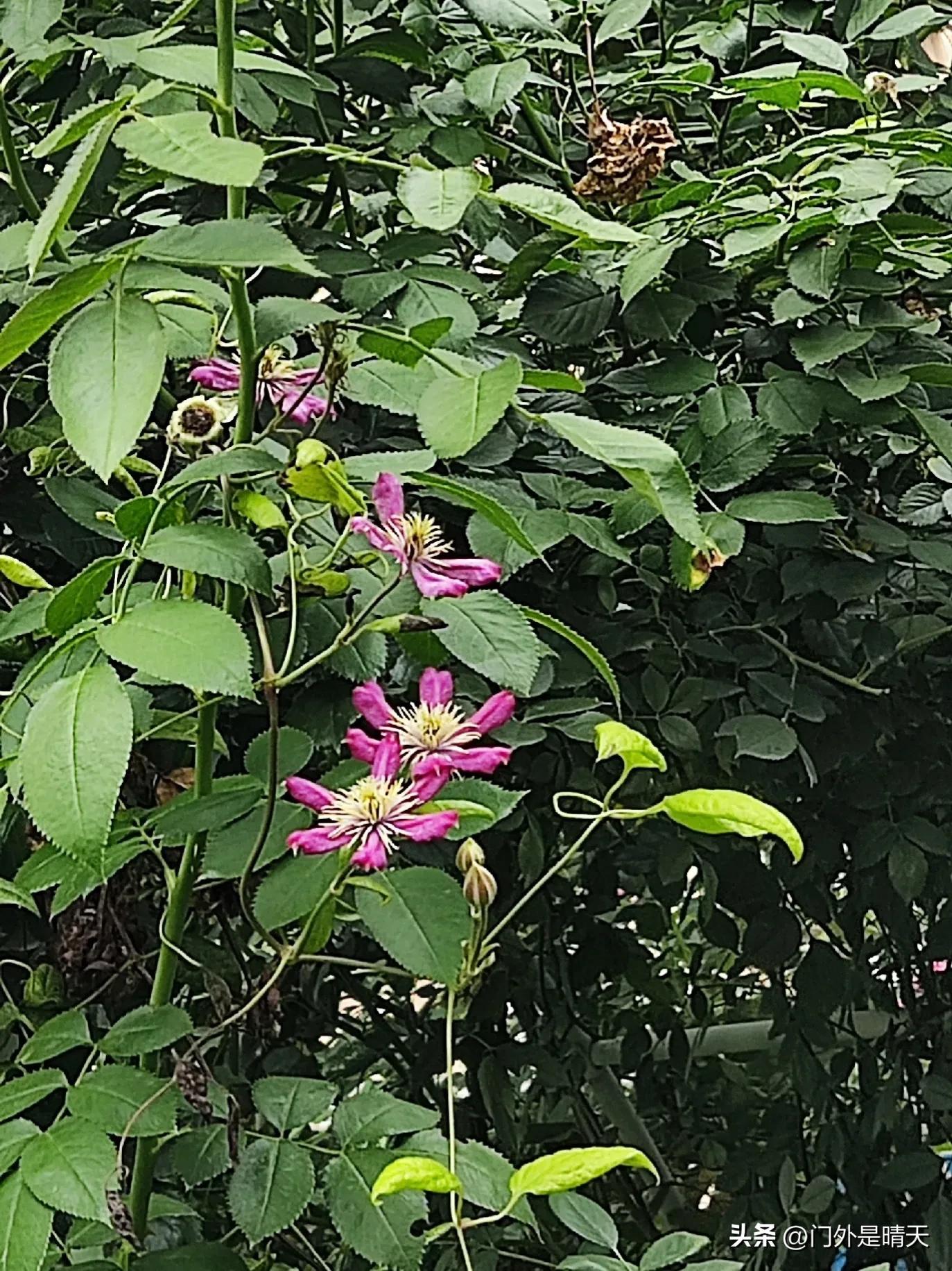 对不开心的工作说再见,不开心的工作怎么选择