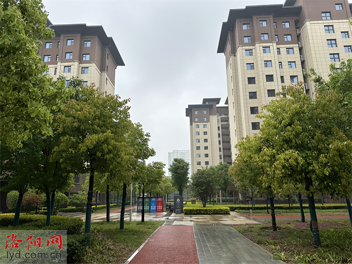 洛阳市青年人才公寓可以卖吗,洛阳人才公寓开始卖了吗