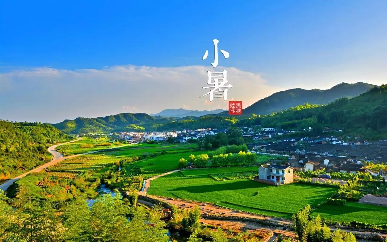 小暑节气解暑多吃5种果蔬,炎热夏天吃什么可以降暑