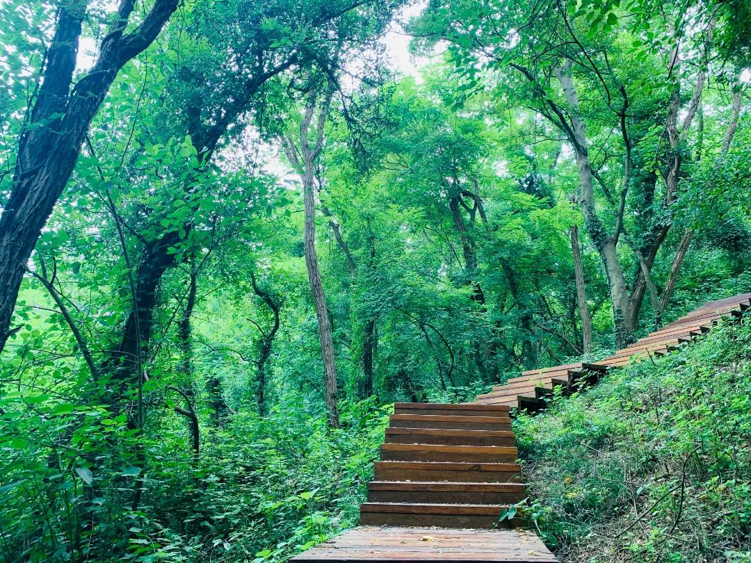 极美汤山,这些绝美的健身步道