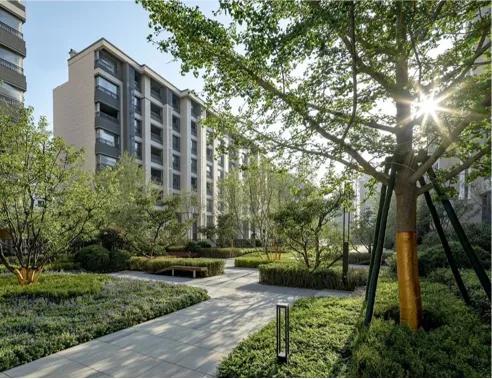 真正的休息养生是什么,养生生活的最高境界