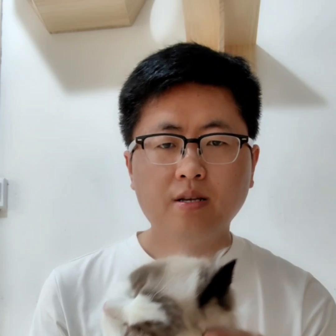 养猫喂生骨肉还是猫粮,养猫最好的喂养方式