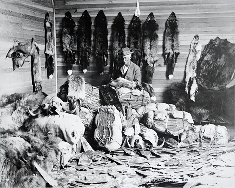 沙俄对西伯利亚的毛皮贸易,17世纪的西伯利亚