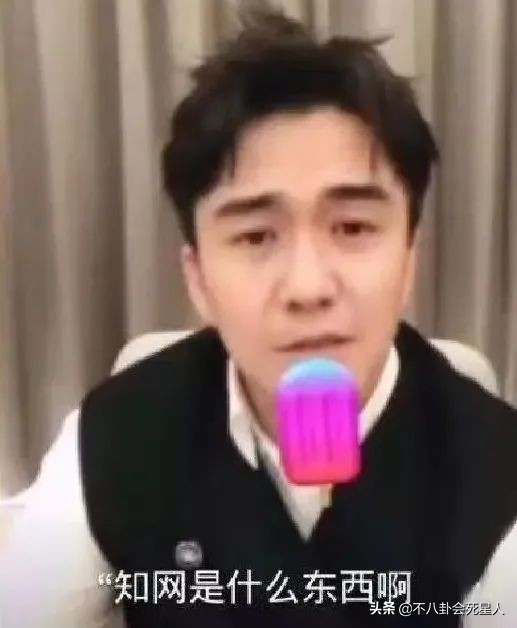 明星隐瞒真实学历被揭穿事件,明星被爆学历造假