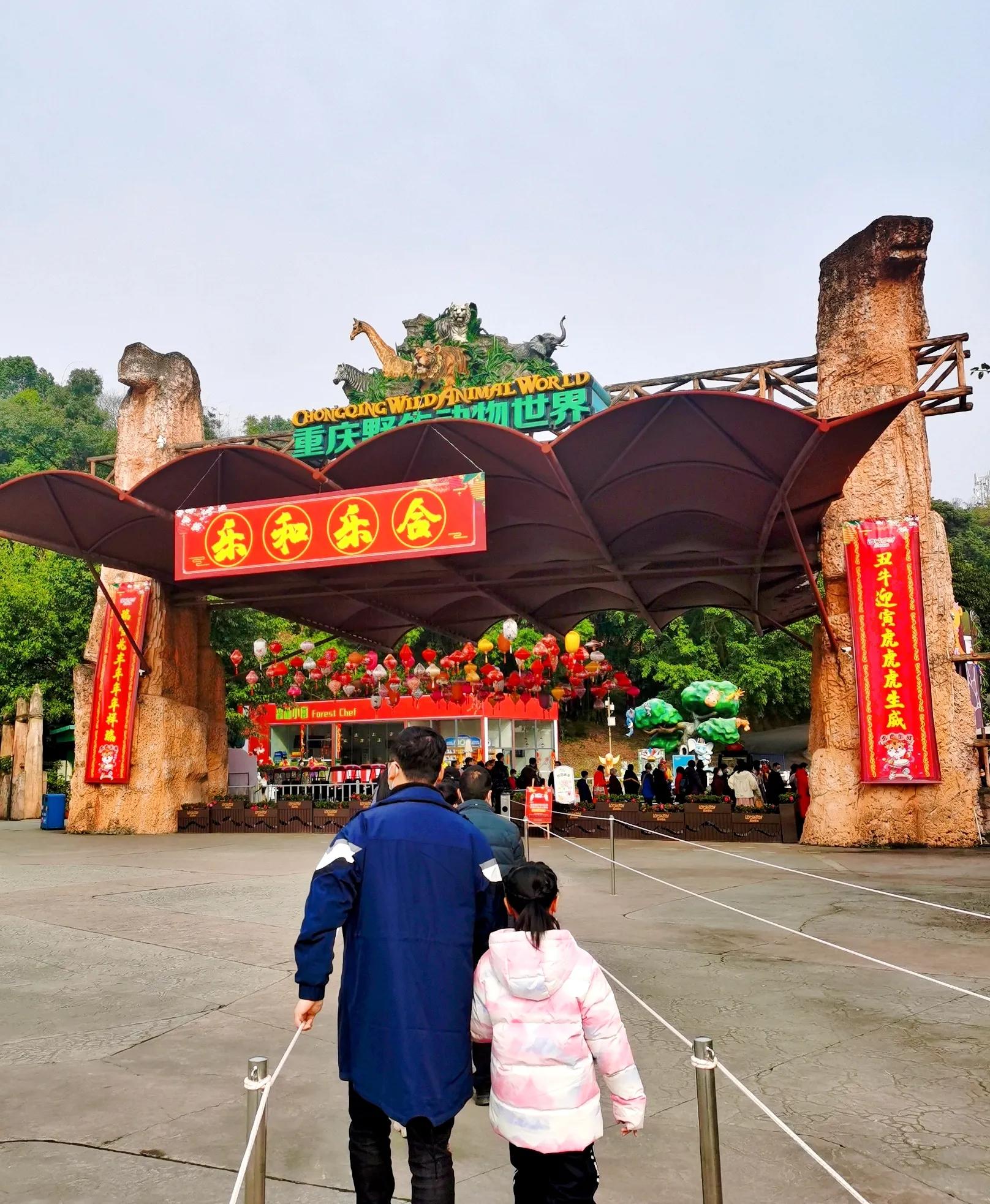 重庆乐和乐都野生动物园一日游,重庆野生动物园攻略一日游