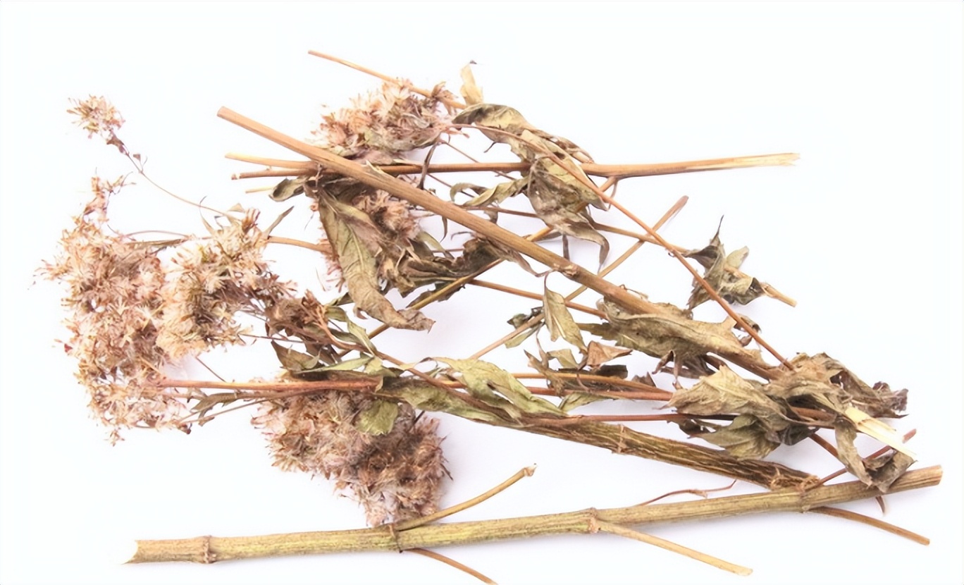 带你识别仙鹤草,带你识别茜草