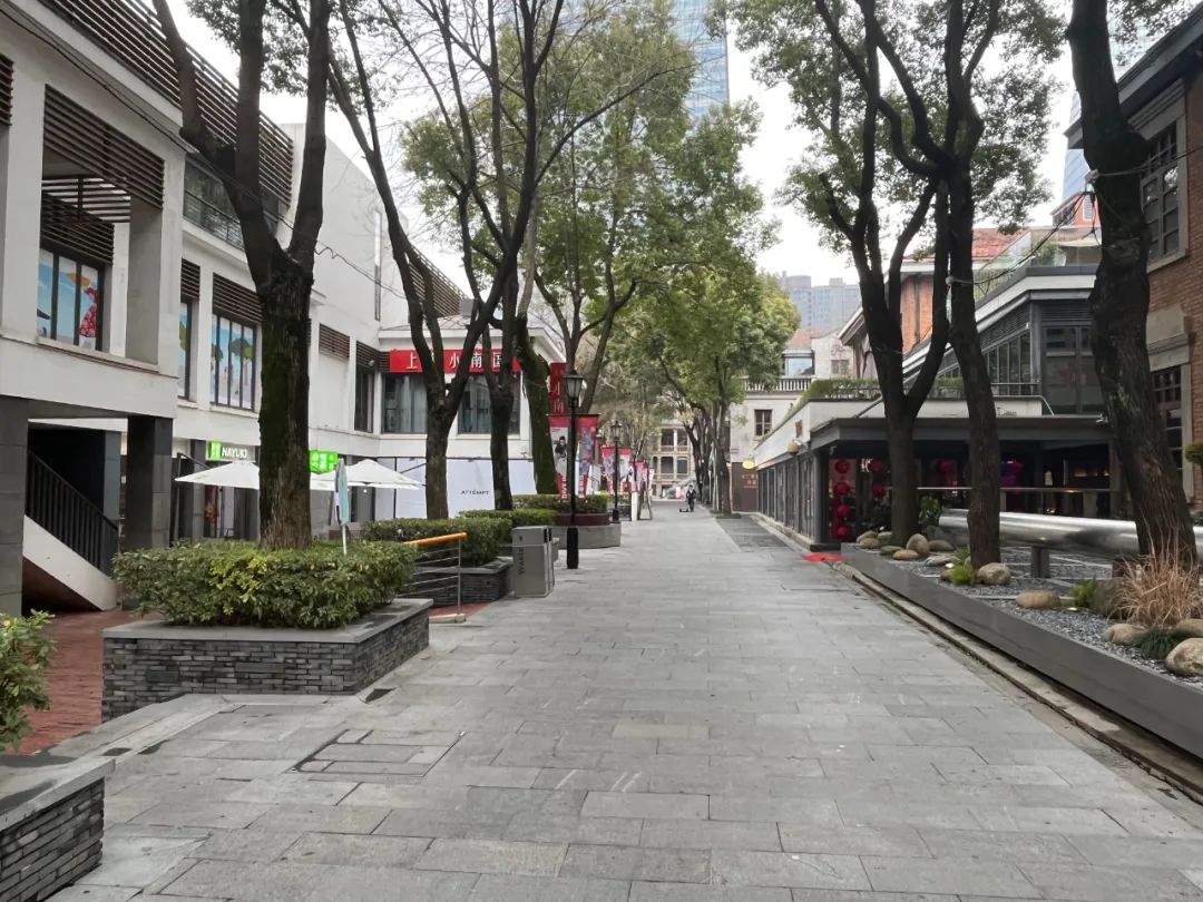 数百亿重仓武汉!不赚快钱的瑞安,赚到了什么?