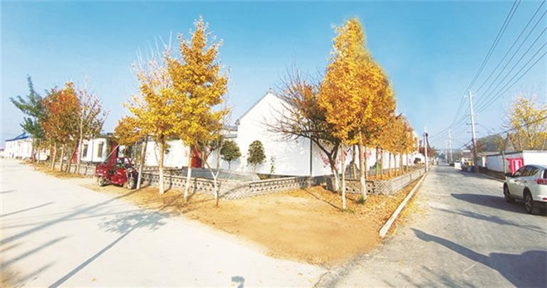 徐州市睢宁县简介,江苏省徐州市睢宁县是哪个区