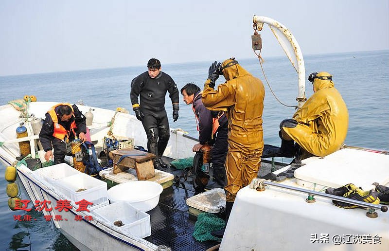獐子岛海鲜有什么,獐子岛美味海参