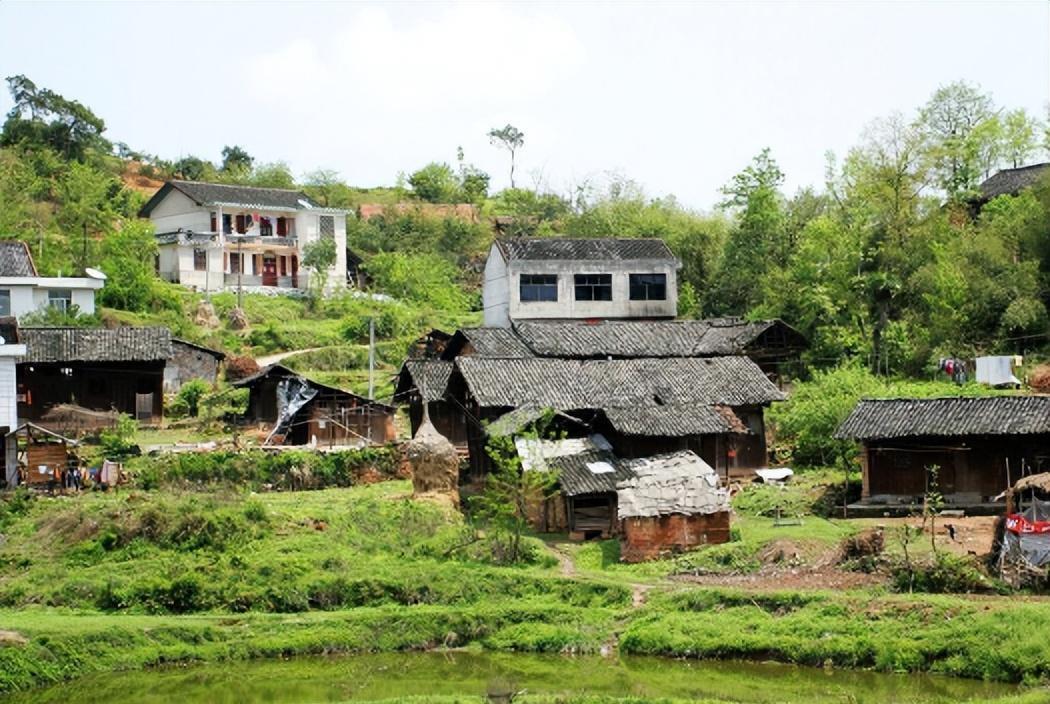 “*爱性**陷阱：丈夫、发小、我，三人*欲情**纠葛”