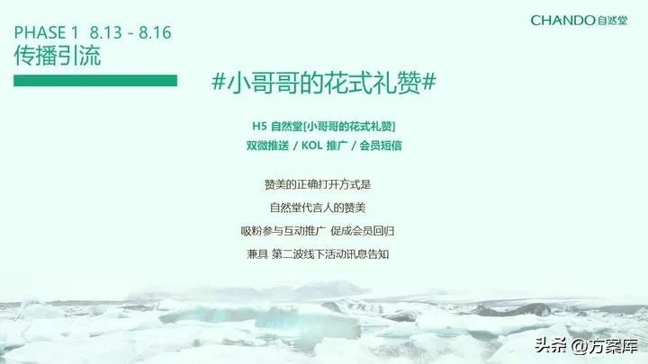 自然堂化妆品品牌推广策划方案,自然堂精华节活动方案