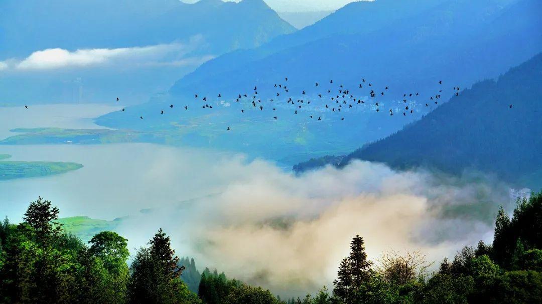 洪雅避暑哪里最好玩,洪雅避暑景点推荐