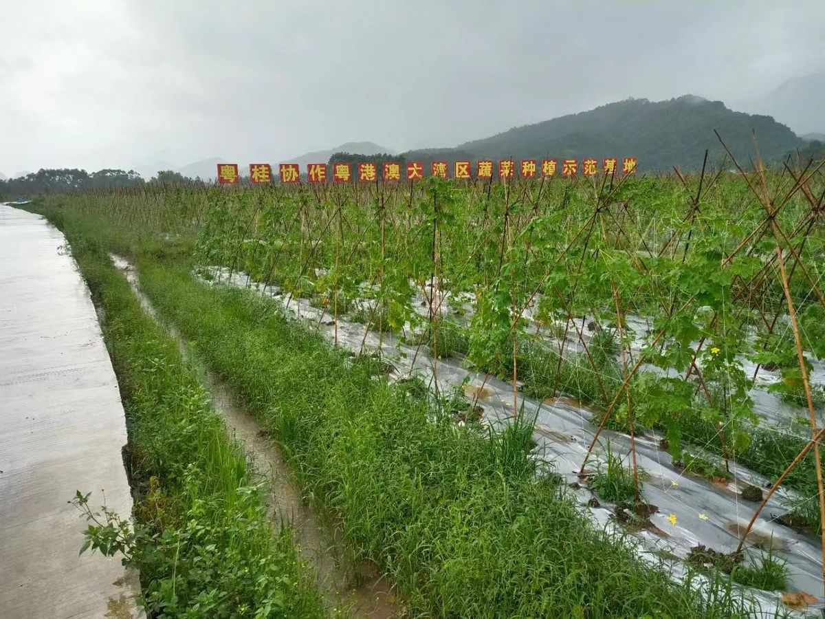 同饮一江水共享南北情,同饮一江水粤桂一家亲