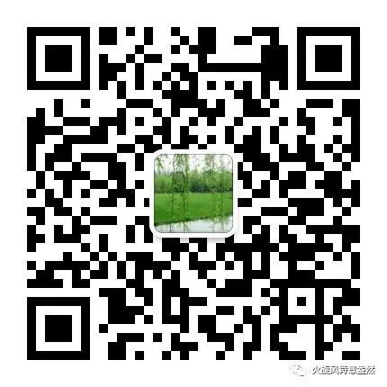 拍蜻蜓童年记忆,拍蝴蝶的小孩