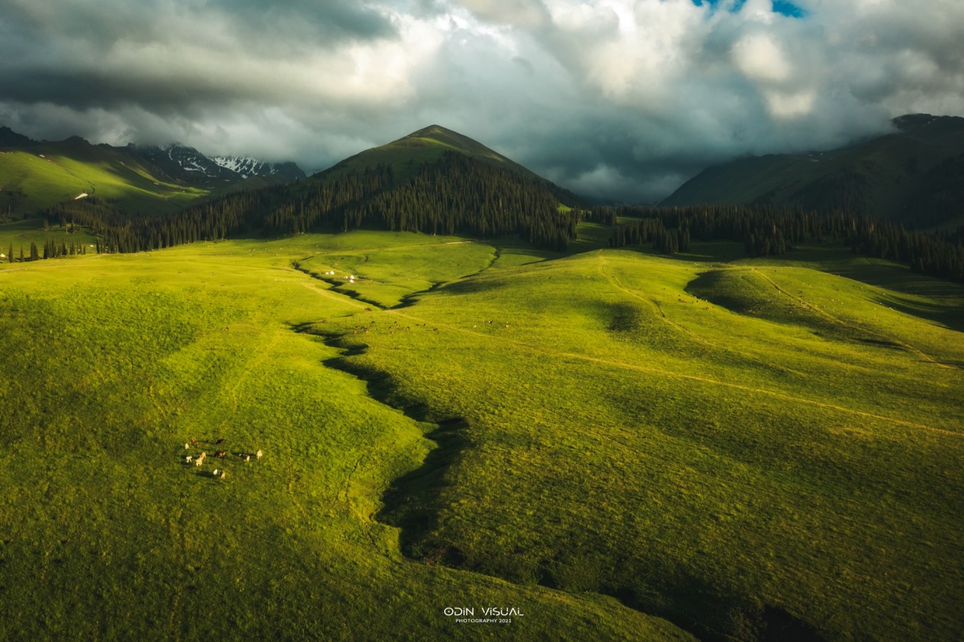 新疆伊犁之美,走了一圈才发现世界万物远不及你