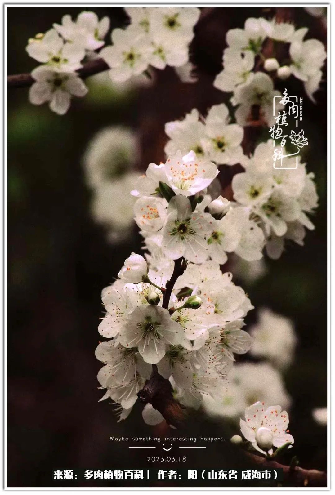 浜洪棿鐑熺伀鑷湁涓囧崈棰滆壊,浜洪棿鐑熺伀鐨嗘槸骞冲嚒棰滆壊