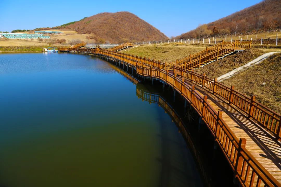 犇福金达莱地址,犇福农场金达莱多吗