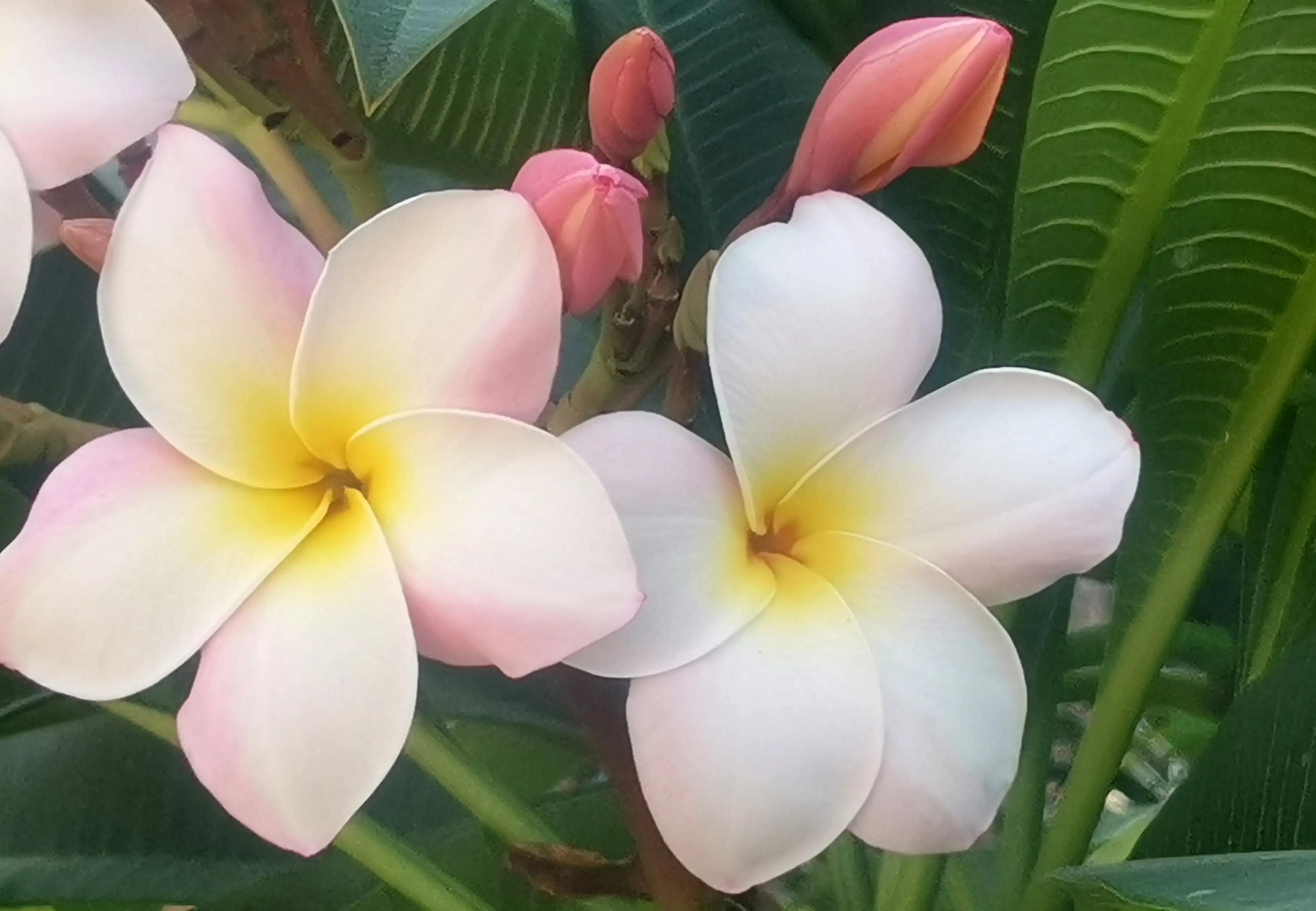 漳州市美丽的小镇,漳州长泰区旅游