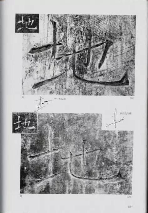 宸ョ瑪鐢绘潹鏅箟鐢诲唽,鏉滈箖鏉ㄦ櫘涔夊畬鏁寸増