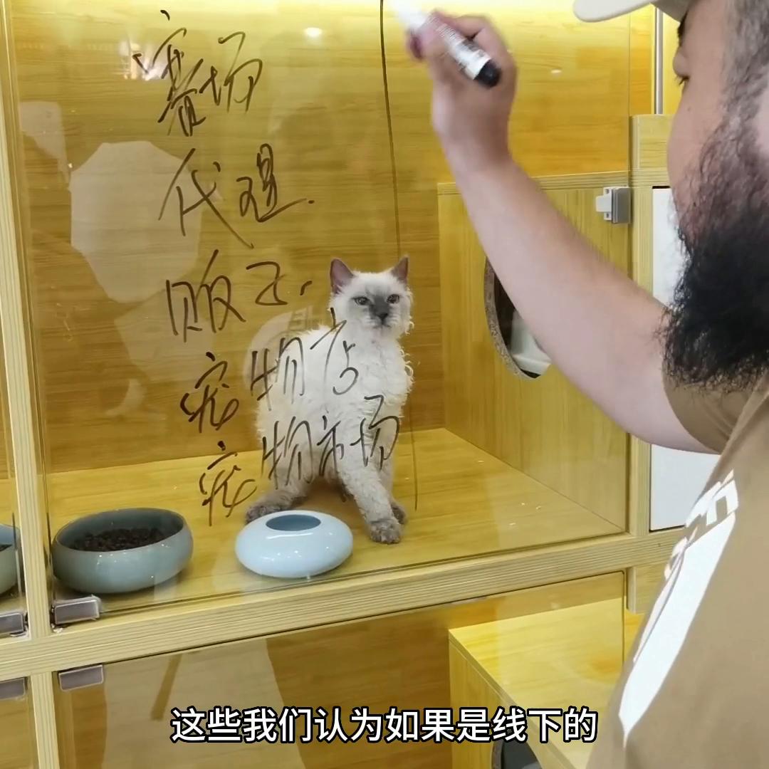 简易说说如何选择合适的销售渠道,渠道销售的话术和技巧