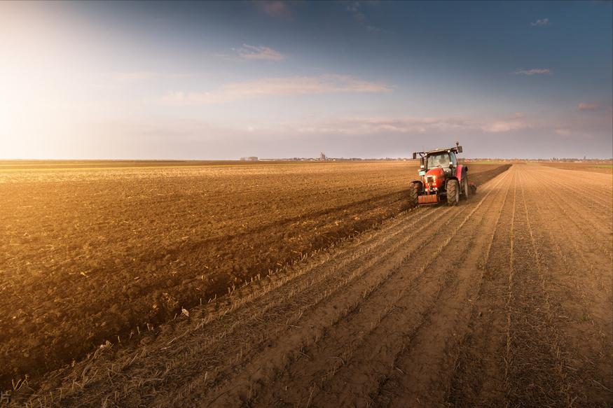 2023年农村宅基地建房的最新政策,2023年农村建房批宅基地要钱吗