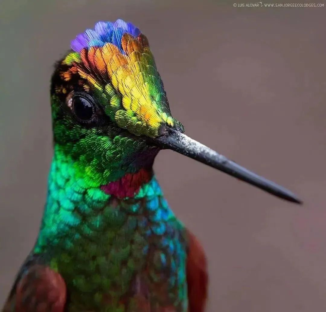 中国以前的足球有多厉害,趣知识科普