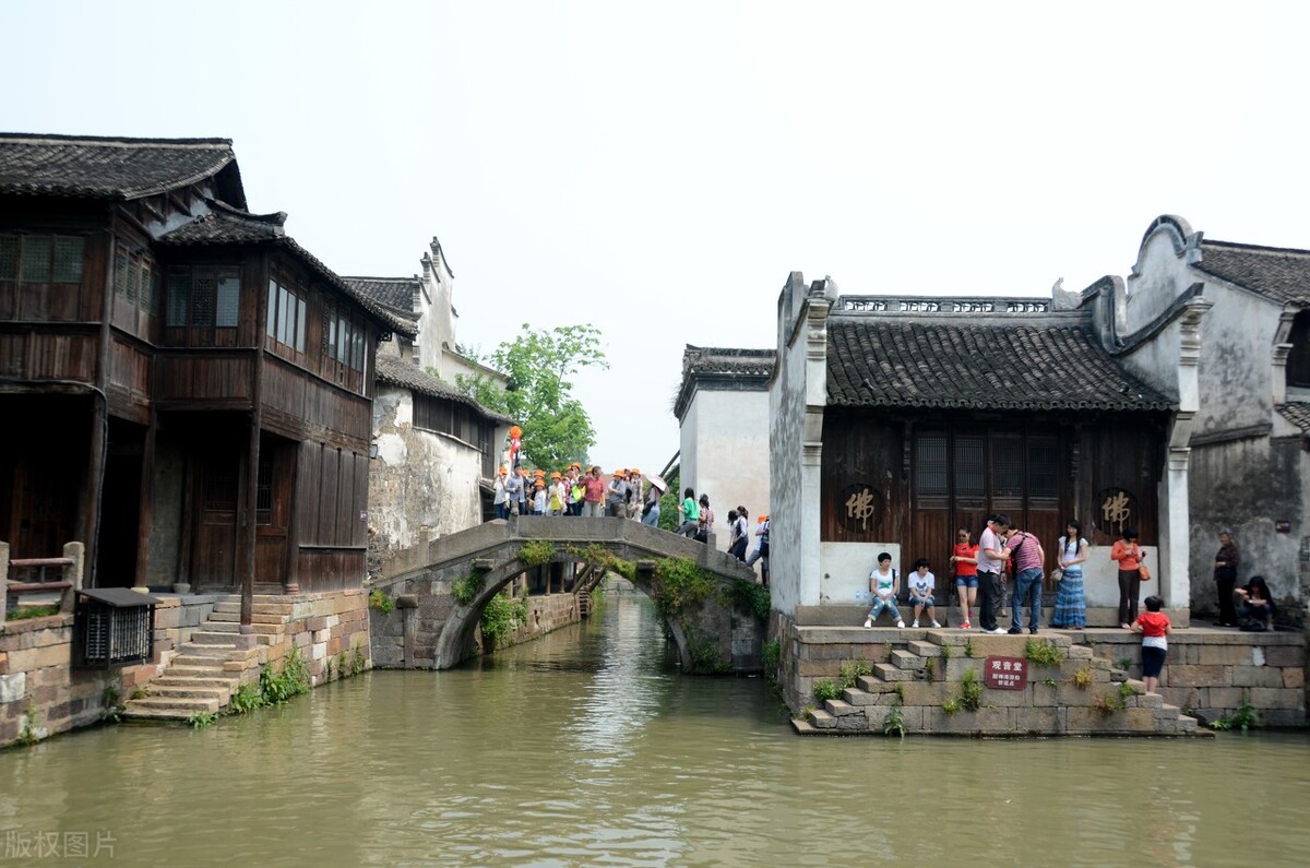 创意农业发展,创意农业发展新活力