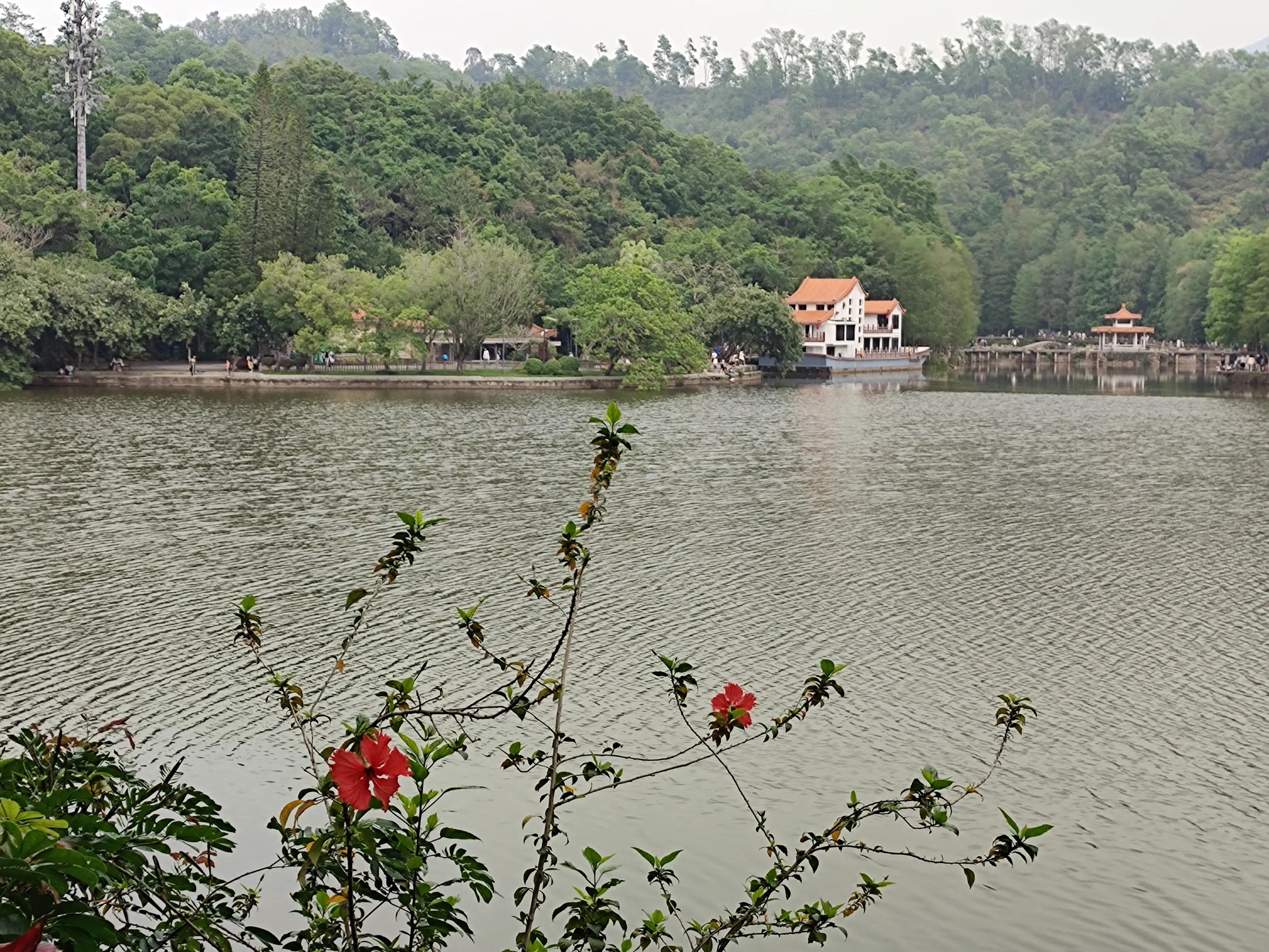 辟谷修仙记第6部：我对自己多狠呀！左一刀右一刀的砍自己
