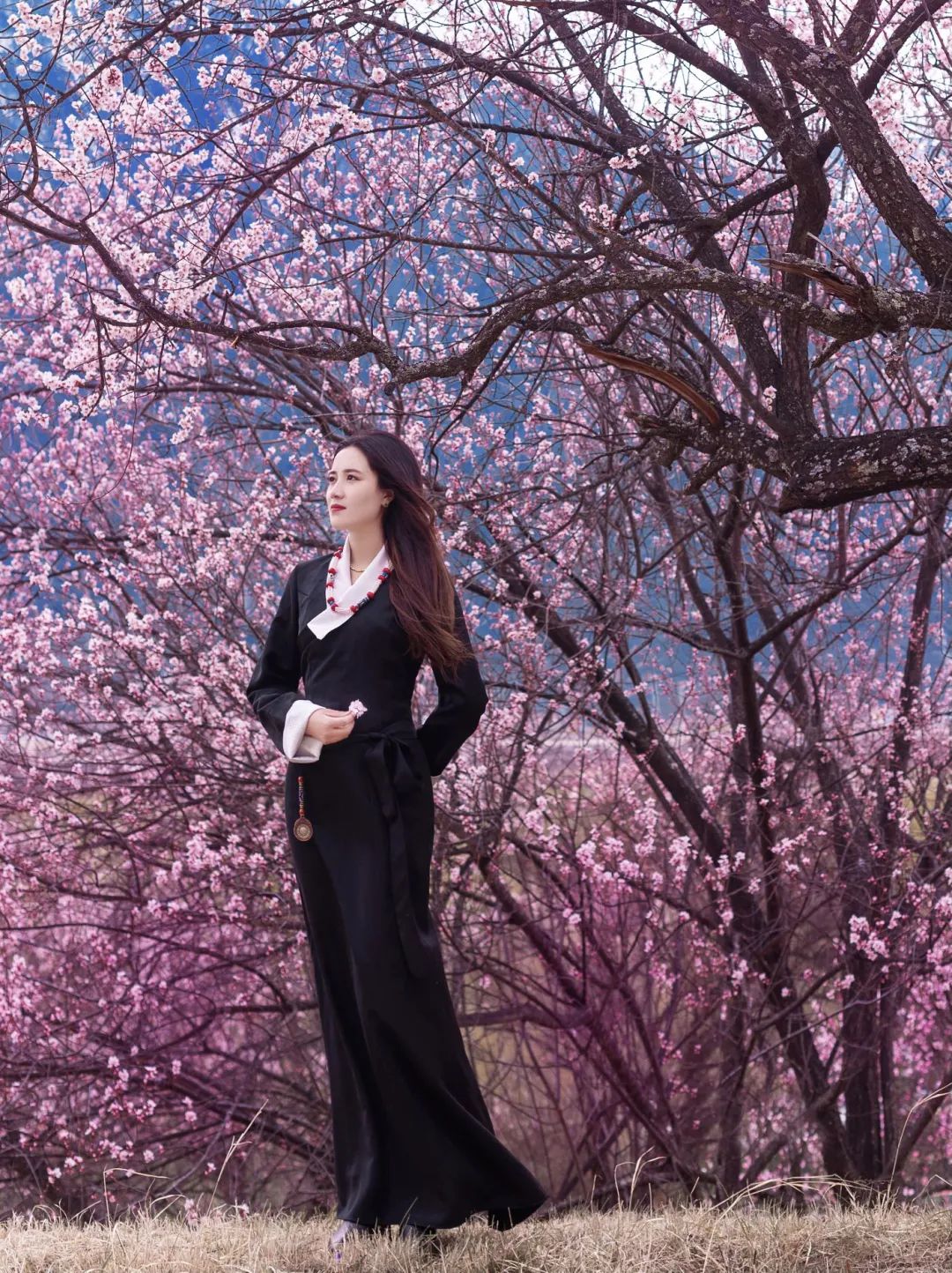 桃花仙子选拔总决赛,桃花仙子选拔大赛活动