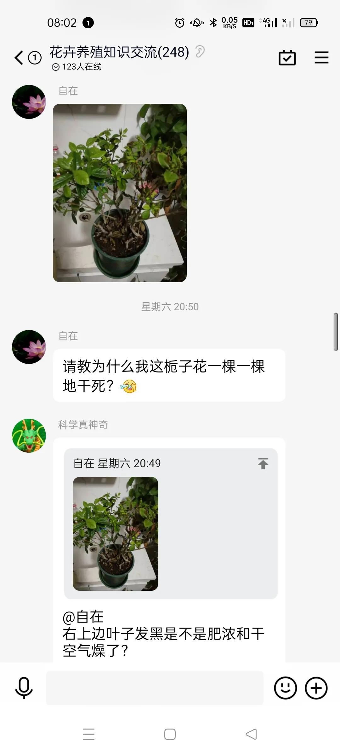 我家的绿植黄叶了怎么办,绿植出现病虫害怎么处理