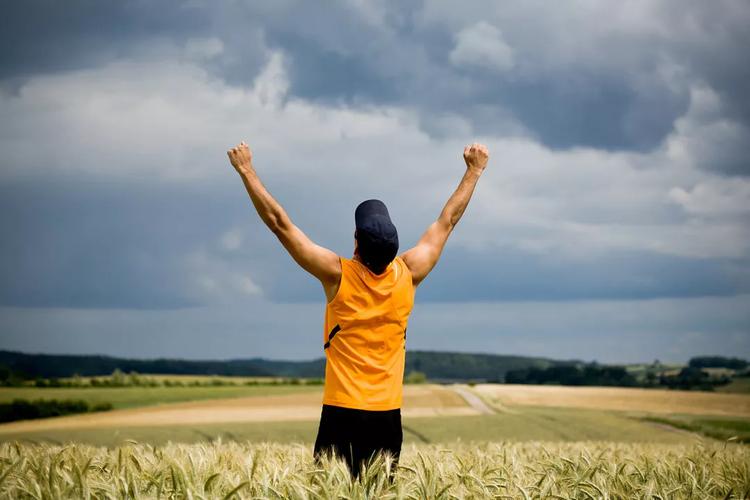 丹栀逍遥丸多少钱一盒功效与作用,丹栀逍遥丸贵的和便宜的什么区别