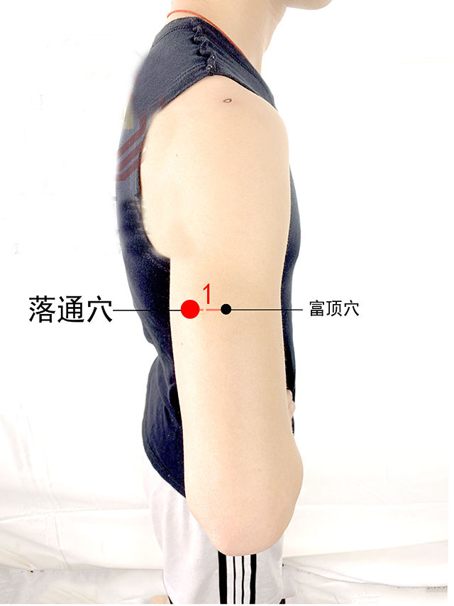 中医经络调理针灸视频,中医针灸规范处方范例