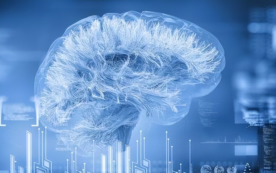 医学上如何计算年龄,身体年龄如何计算