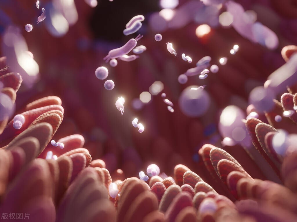 药物引起的便秘有什么好办法解决,老年人便秘药物排名前十名