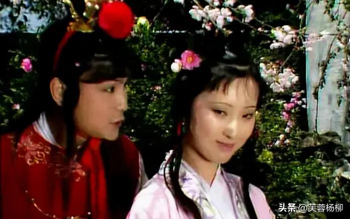 林黛玉陈晓旭葬花,陈晓旭评价黛玉哭了