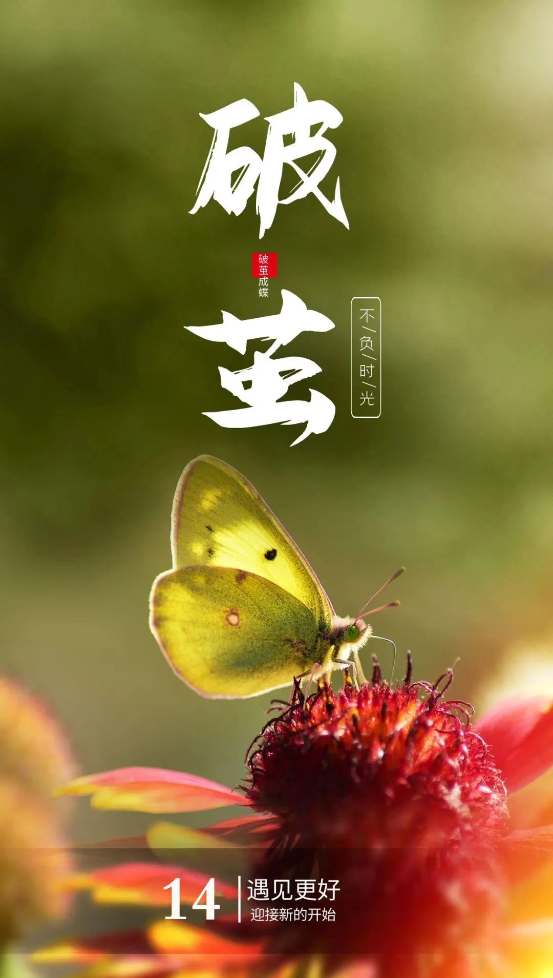 2020早安心语正能量简单一句话,早安心语经典语录简短图片