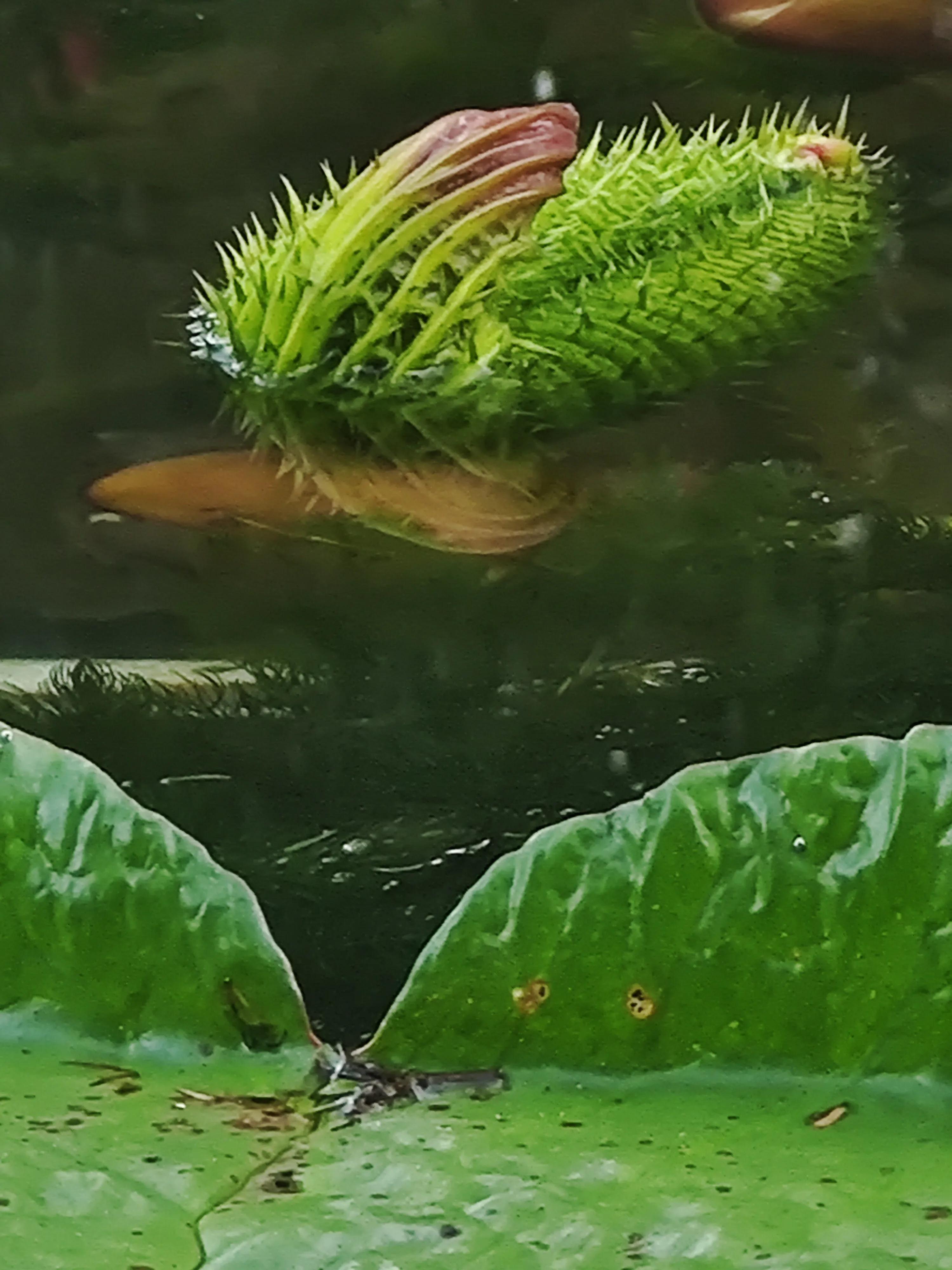 手拍世界手机摄影平台,手拍世界摄影网