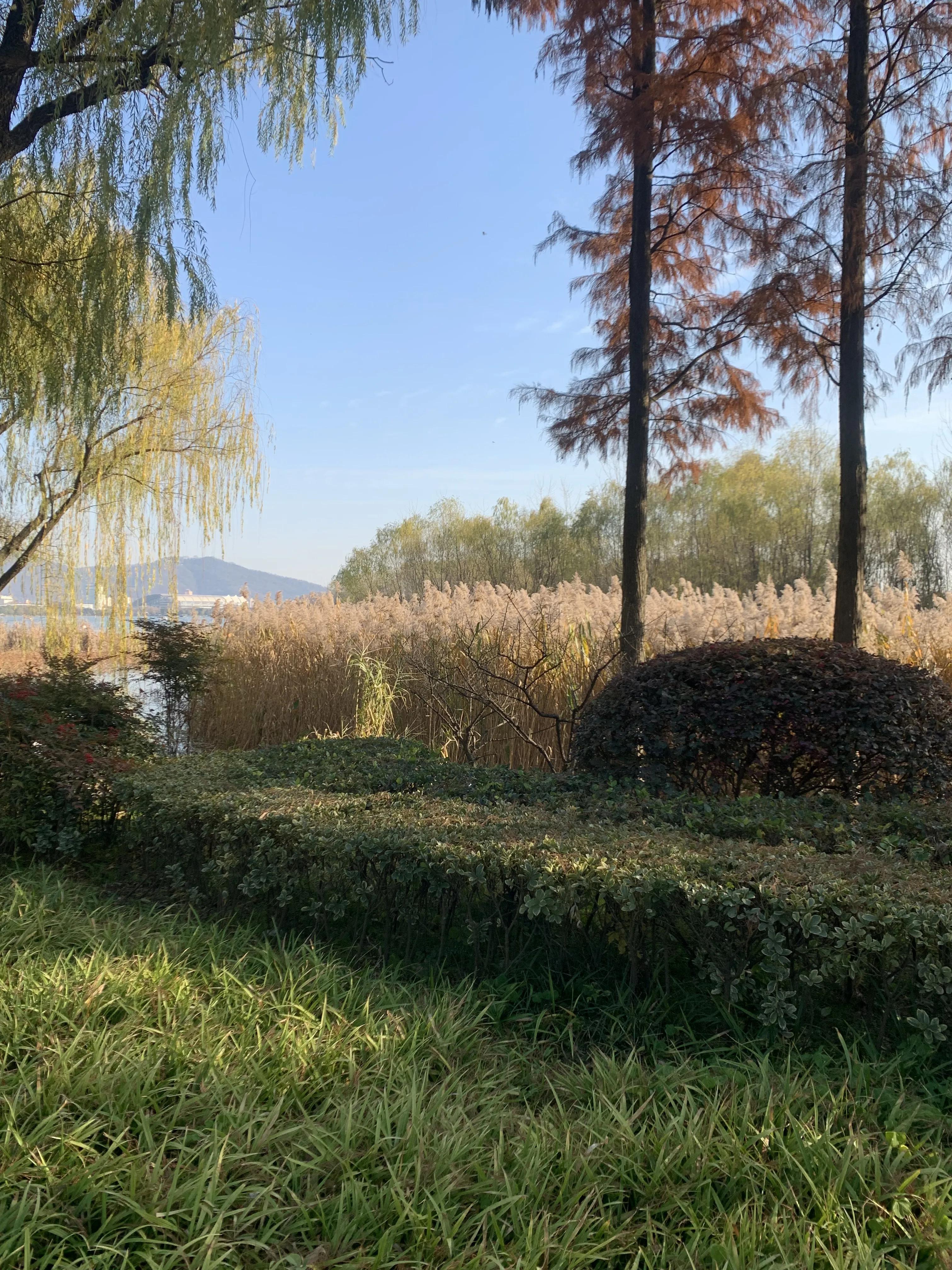 李兰芳歌曲国外翻唱,李兰芳视频大全