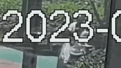 上海遛狗不拴绳男子已被处罚,上海遛狗打人者已被刑拘3年