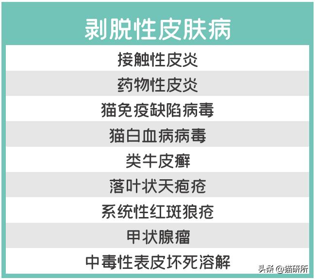 猫咪有皮屑是怎么回事,猫咪有轻微皮屑怎么回事
