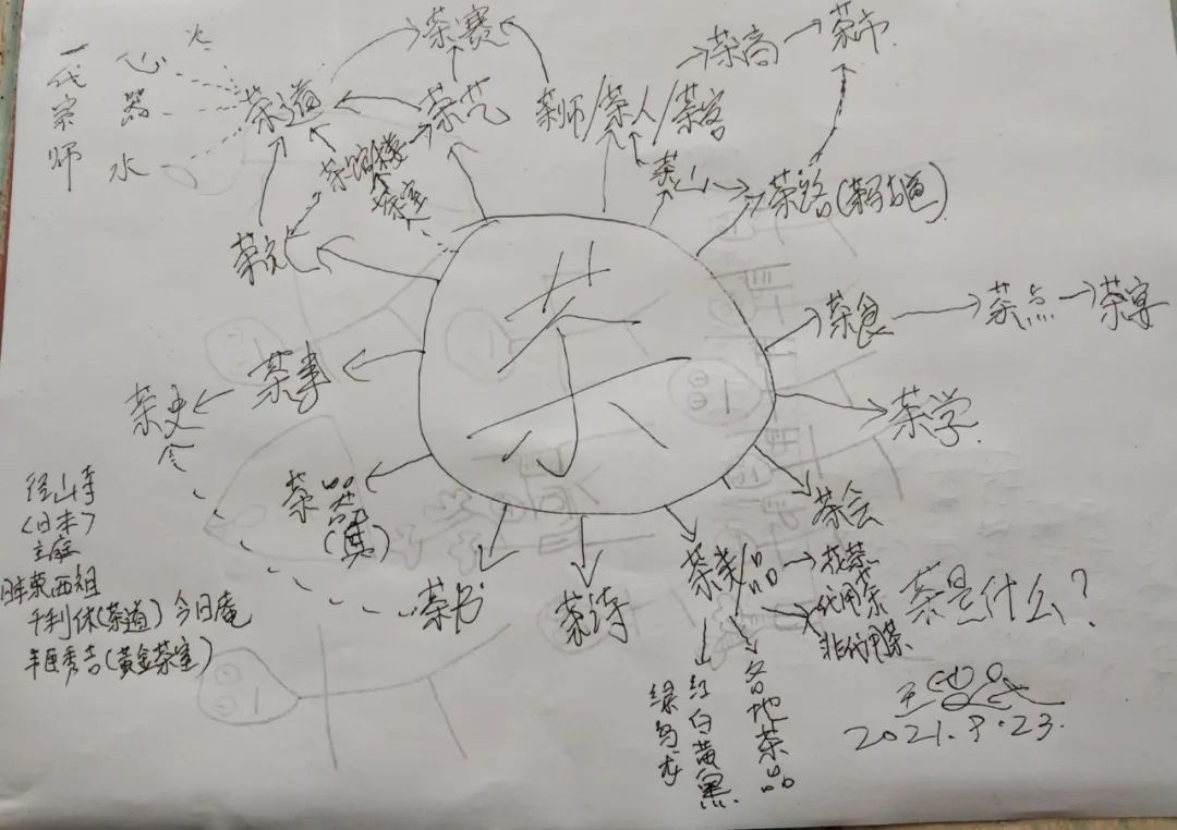 茶是什么意思,茶是什么颜色